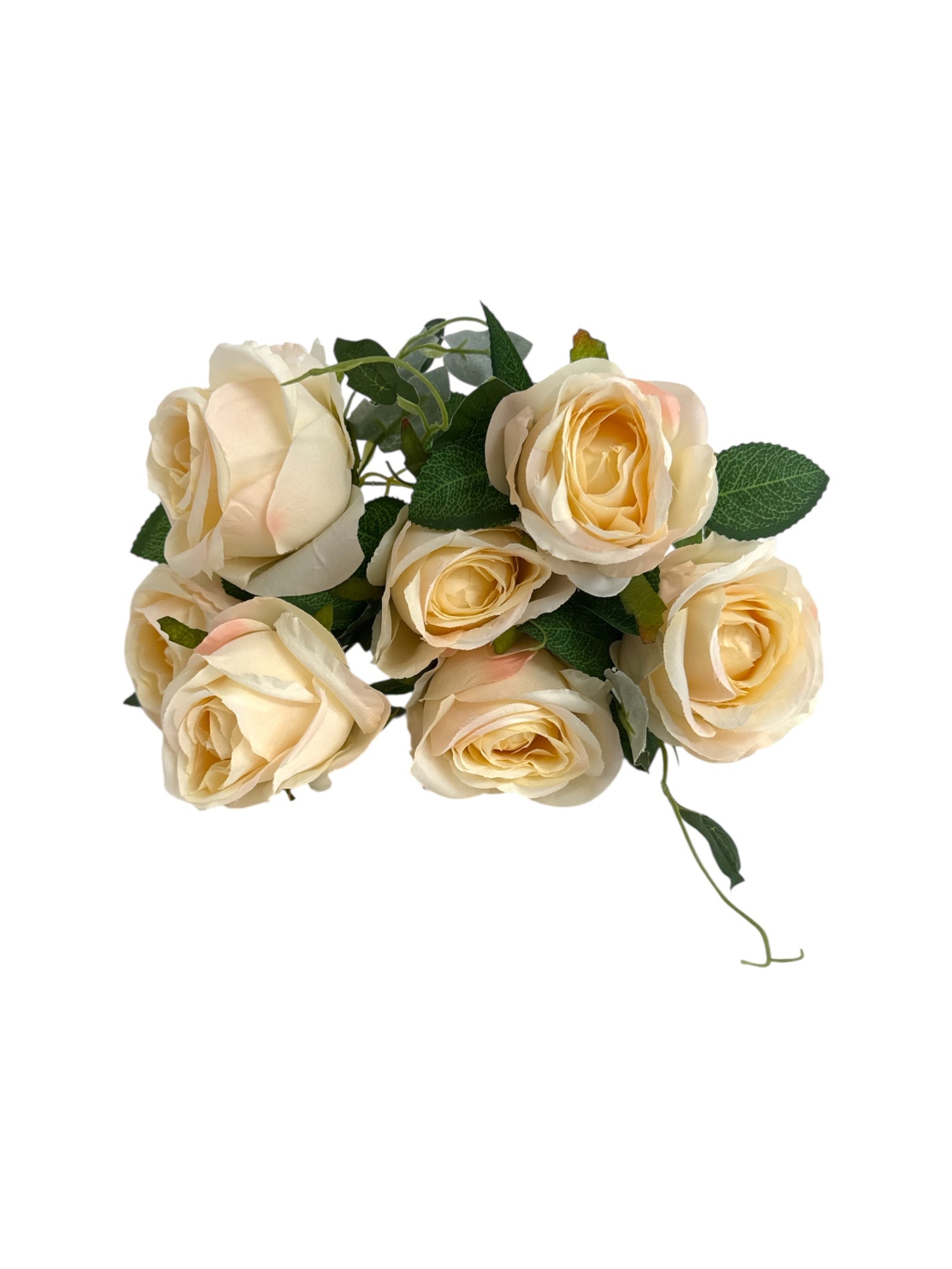 Photoroom_20250621_110103