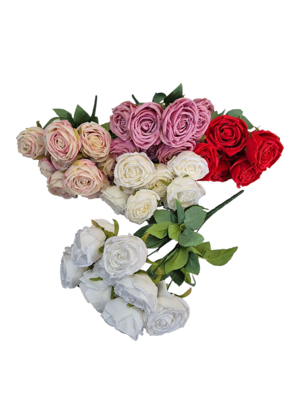 IMG_128108283257523203