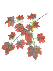 IMG_6739296338435678160