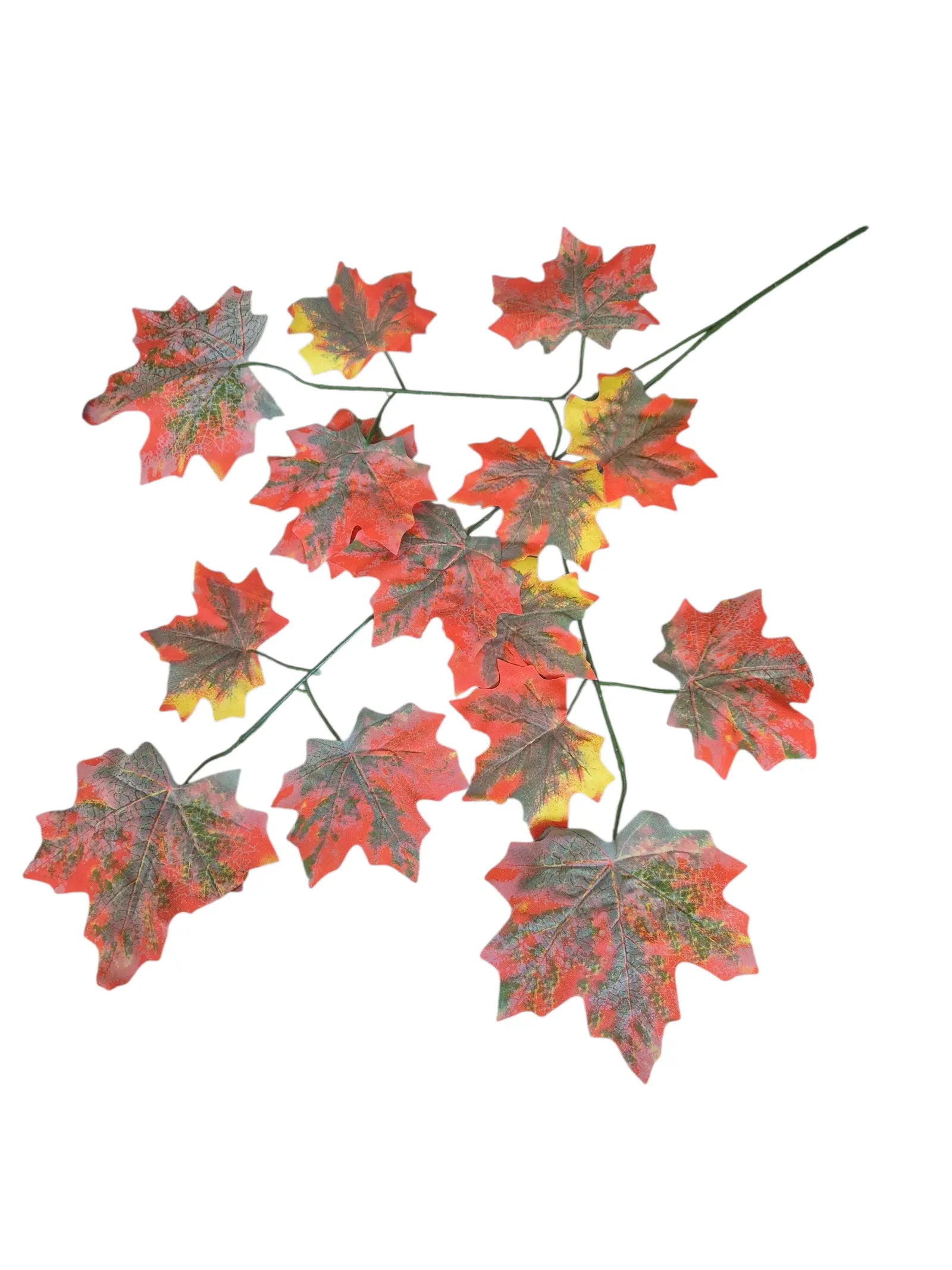 IMG_6739296338435678160