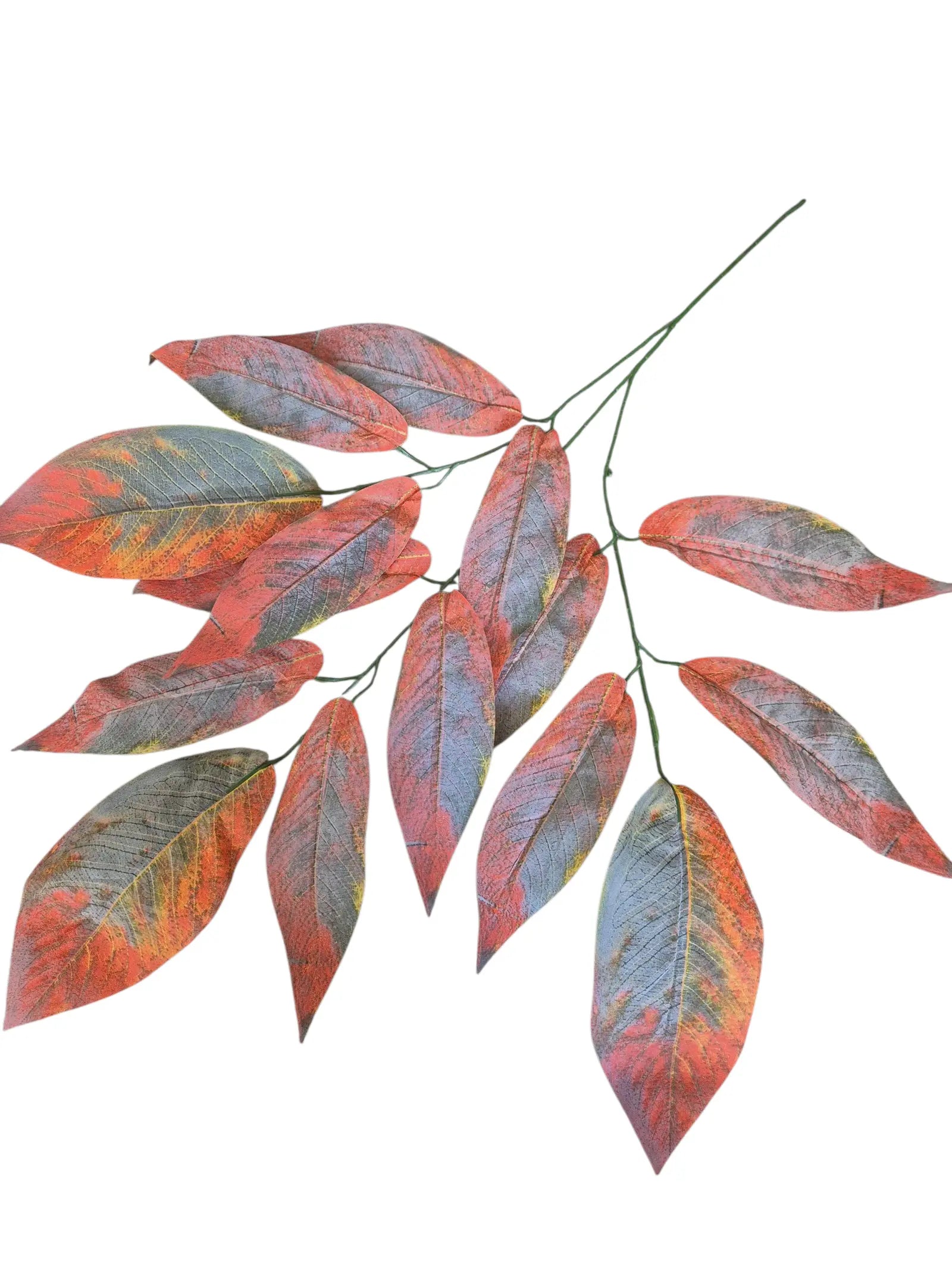 IMG_8187027559477083224