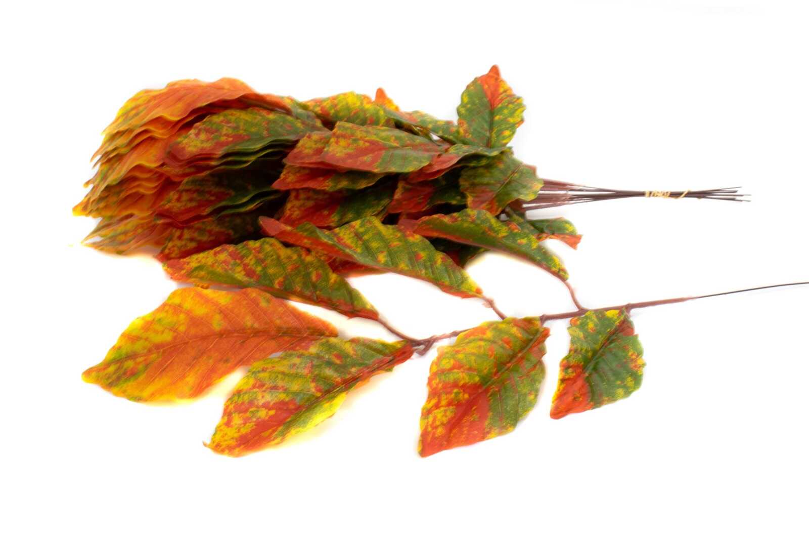 crengi-nuc-12set-ruginii