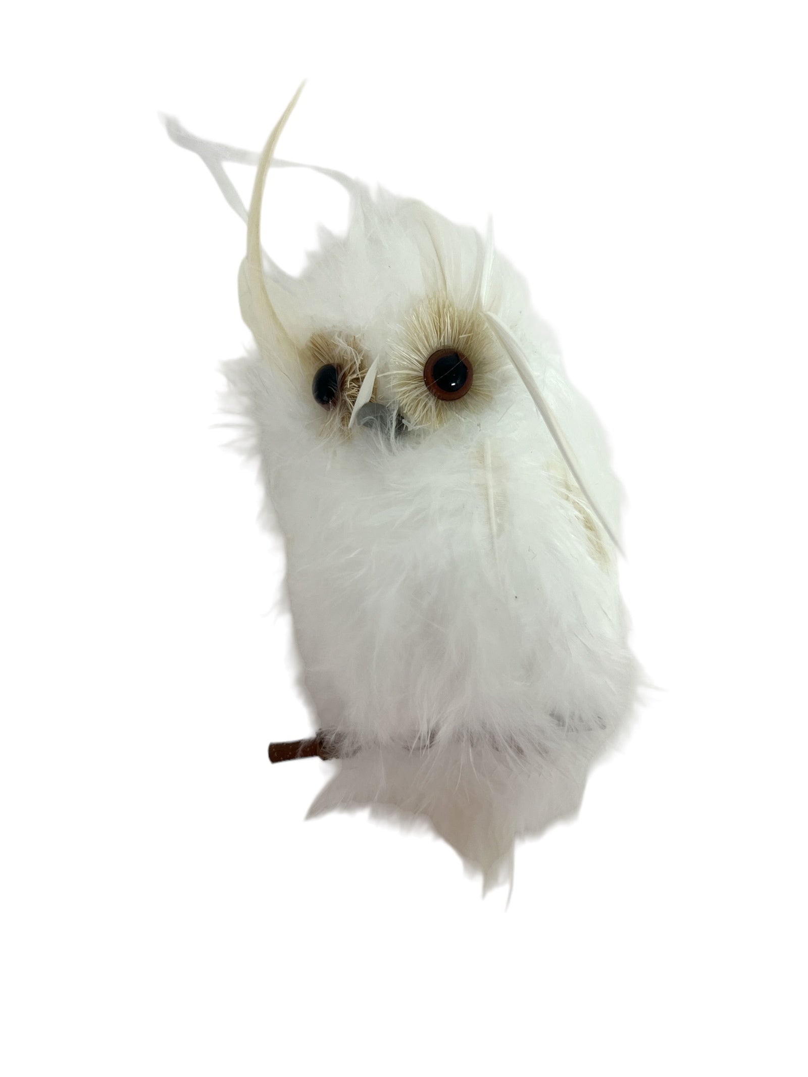 PhotoRoom_20231002_093134