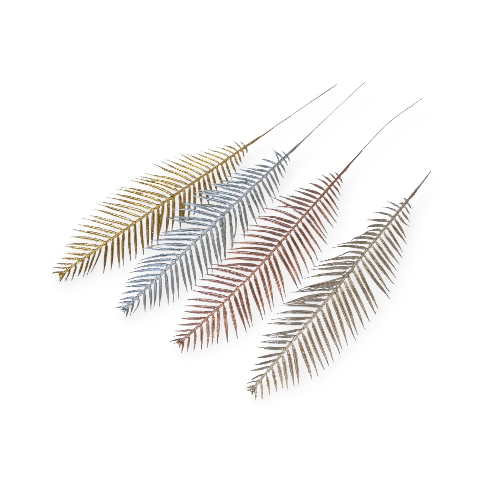 Photoroom_20251014_094153