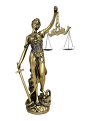 Photoroom_20250122_133724 4