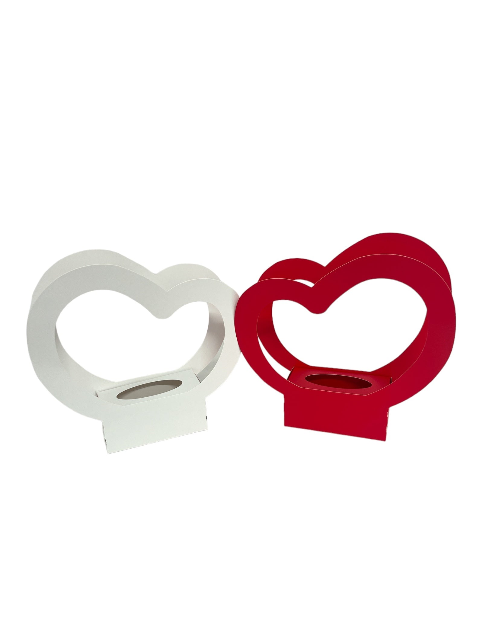 Photoroom_20240211_164011