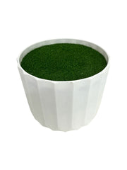 Photoroom_20250502_122011