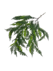 Photoroom_20250621_110909