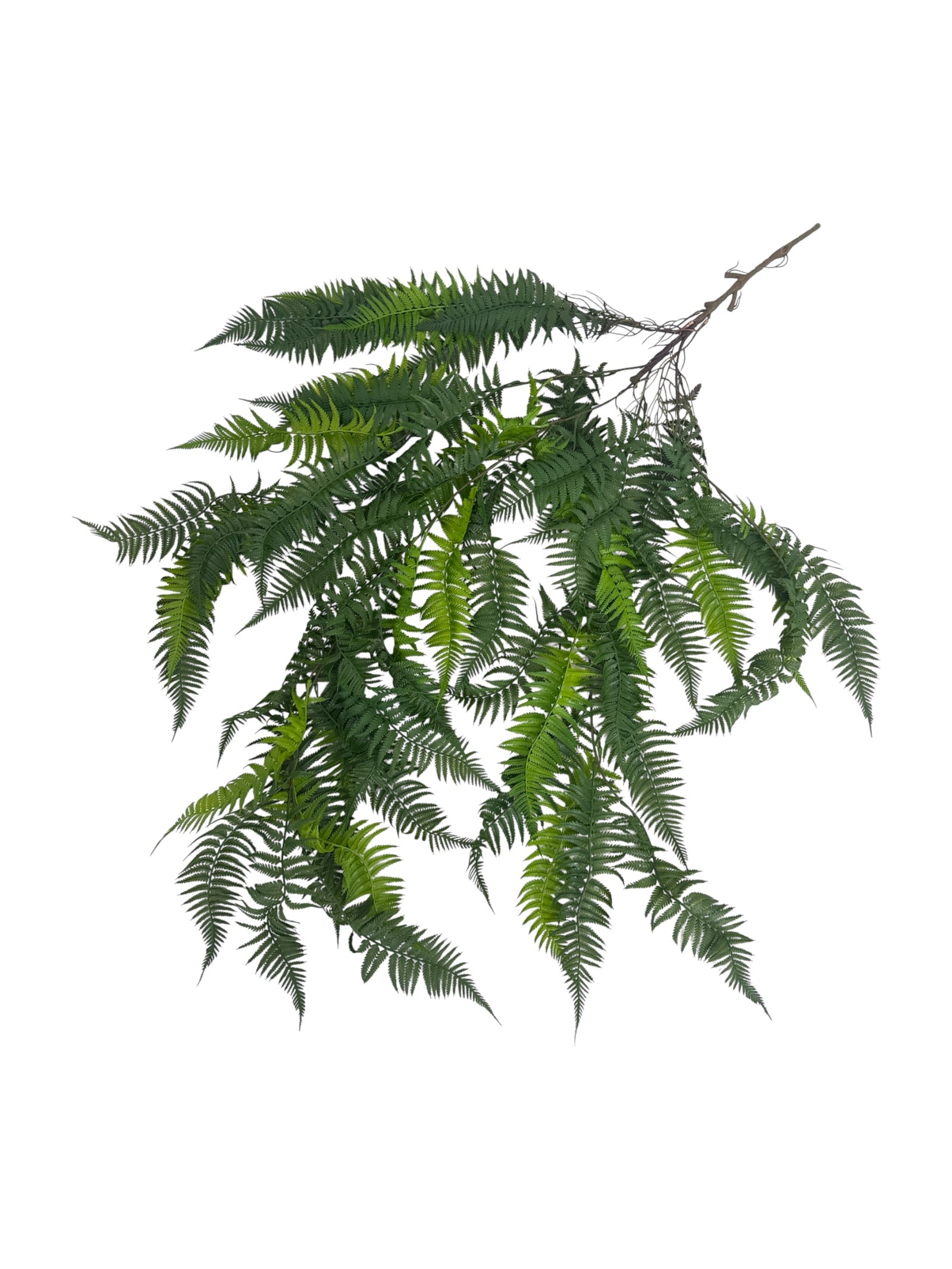 Photoroom_20250621_110909