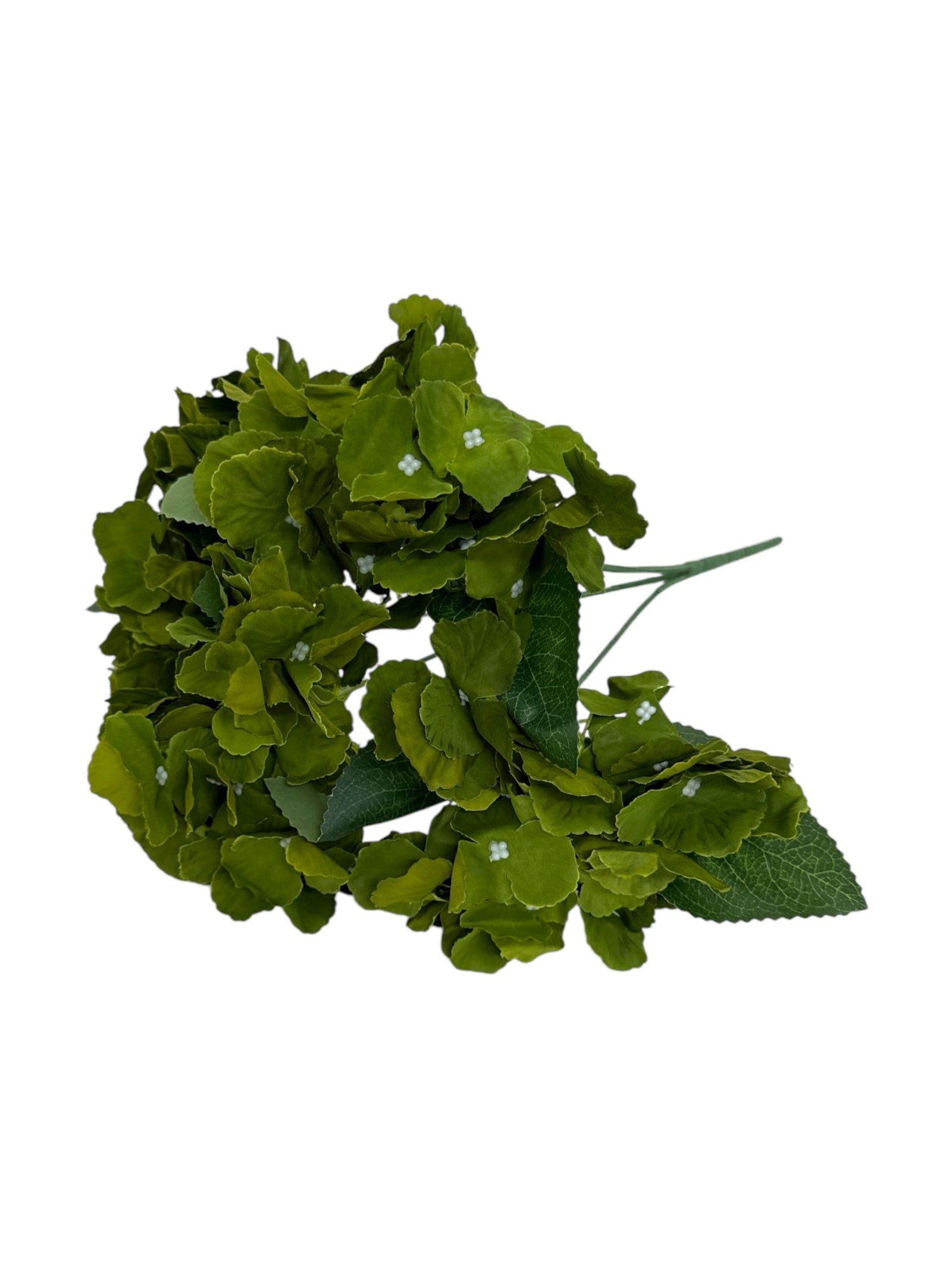 Buchet Hortensii 5 flori verzi