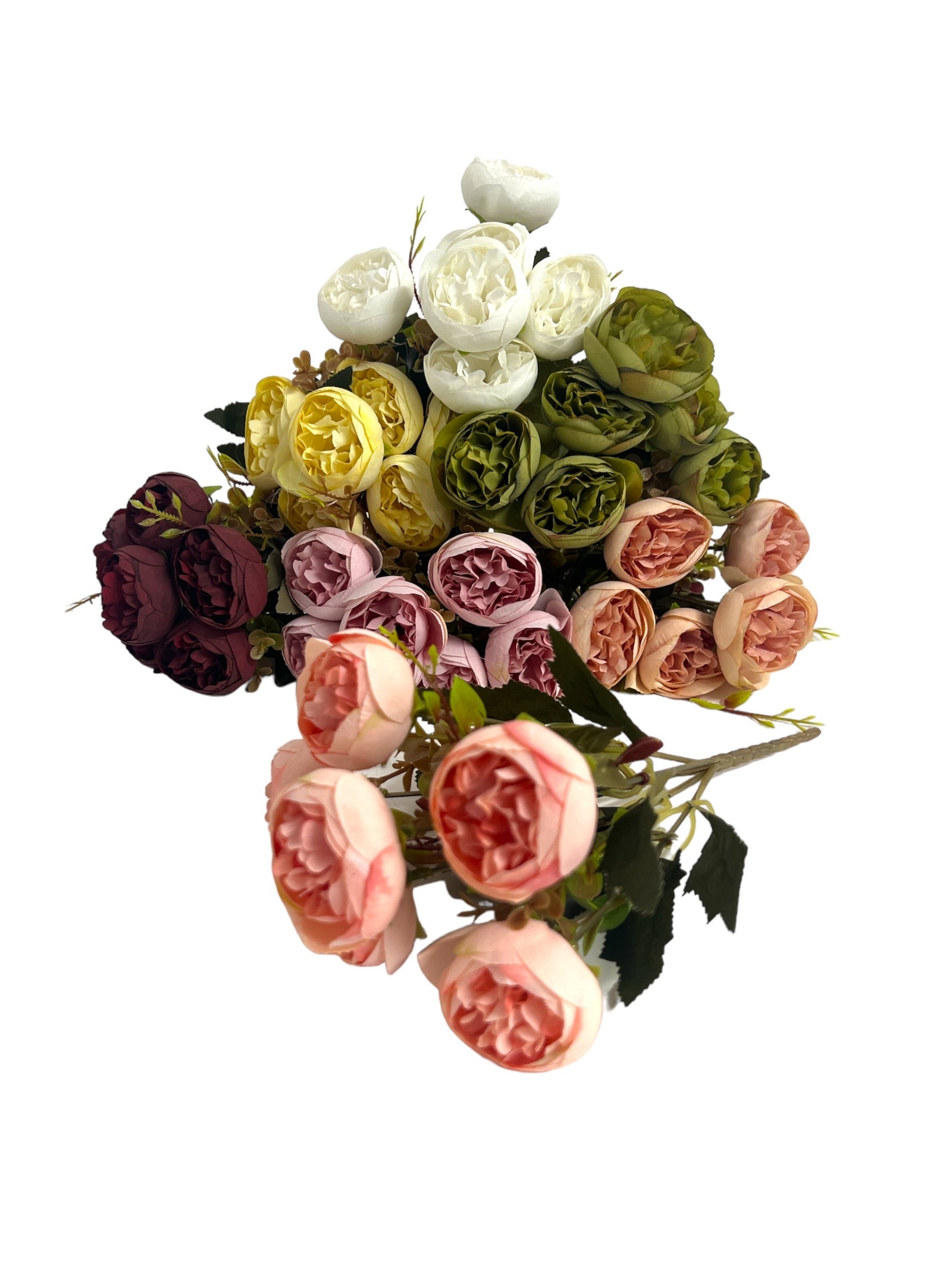 Photoroom_20240213_161211