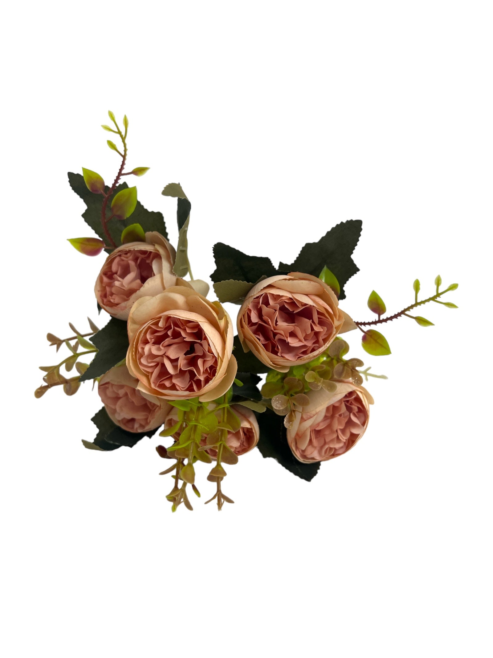 Photoroom_20240213_162117