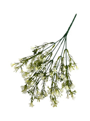 Photoroom_20250123_114059 4