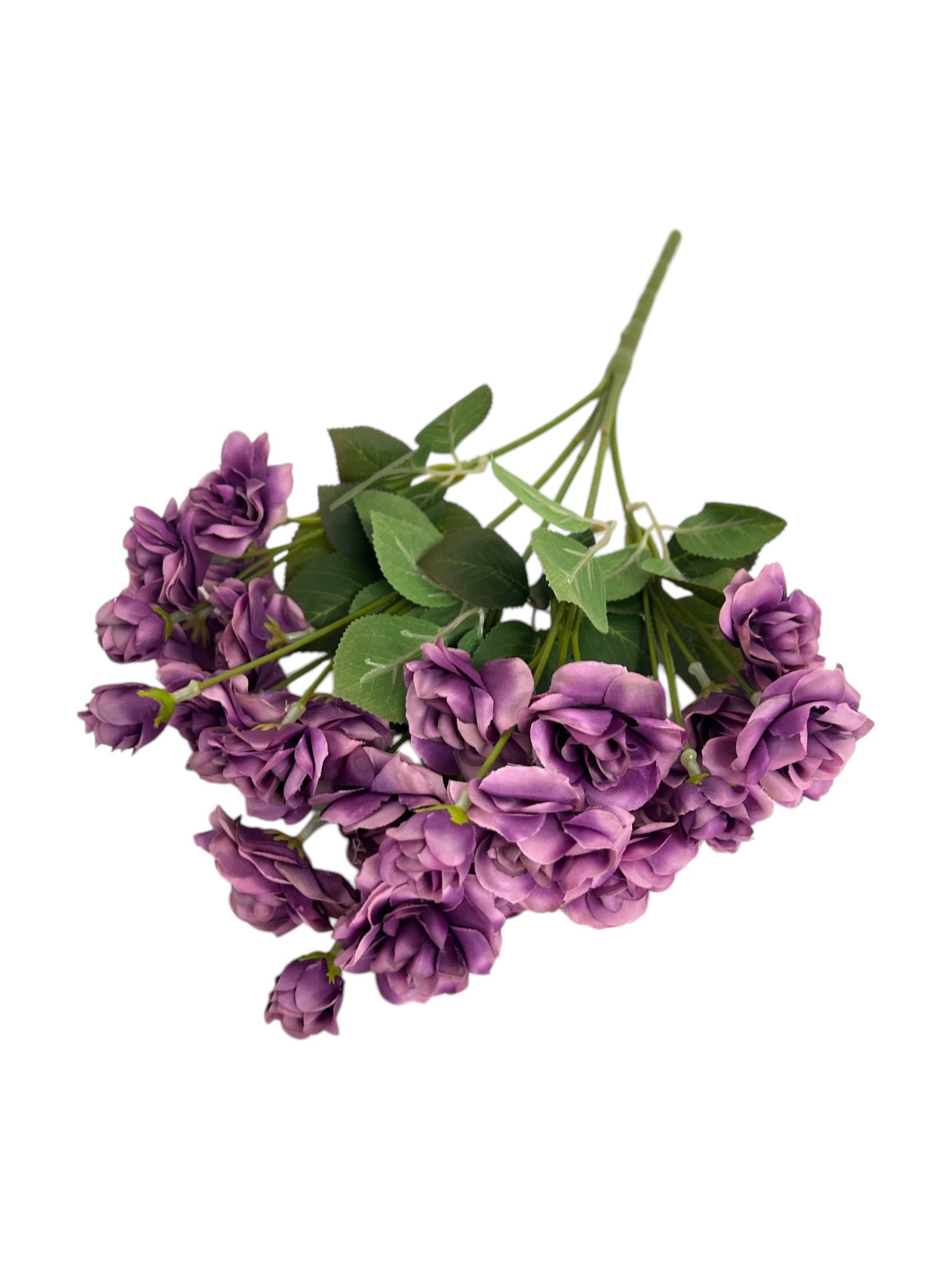 Photoroom_20250123_113536 4