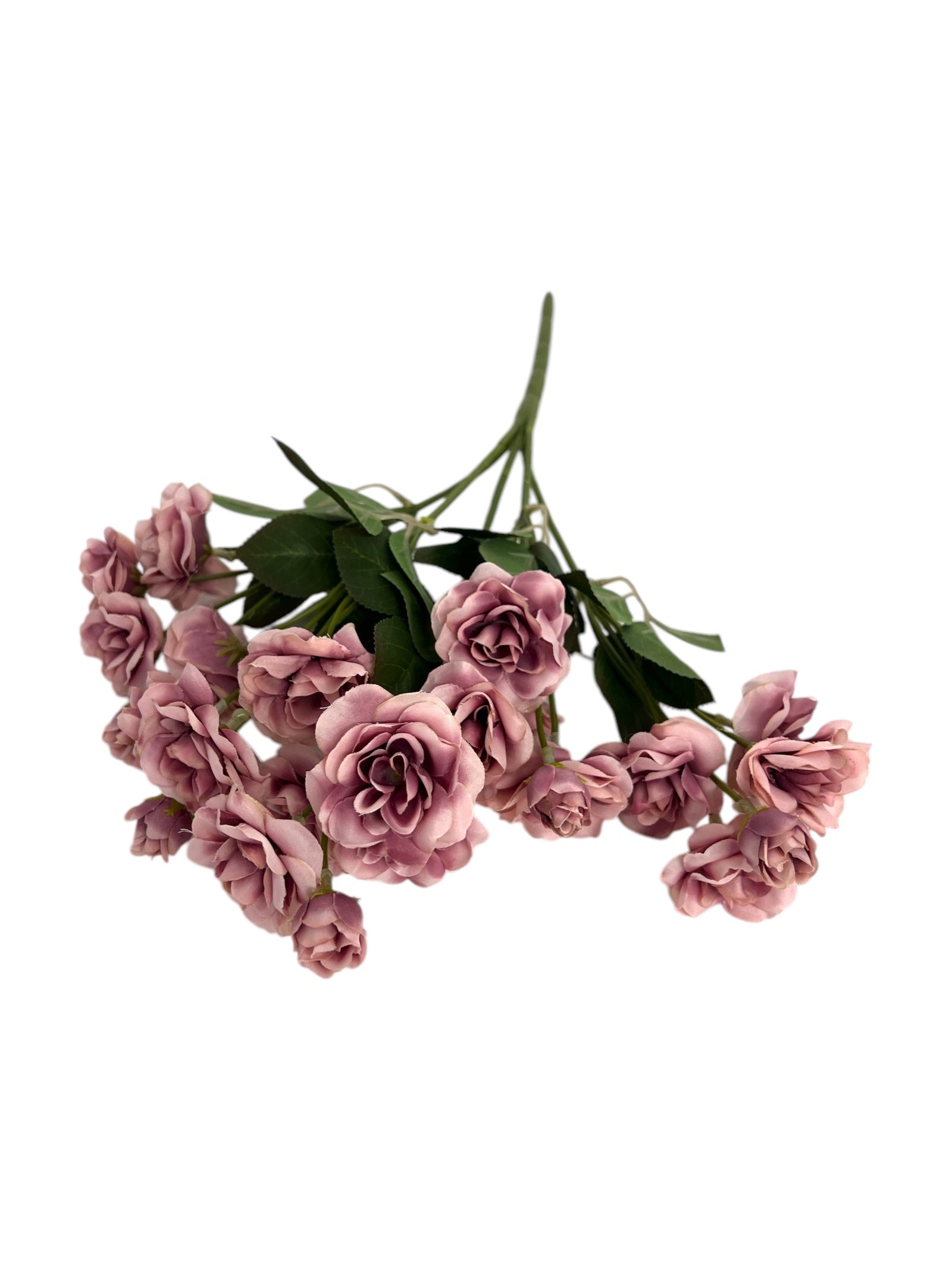 Photoroom_20250123_113625 4