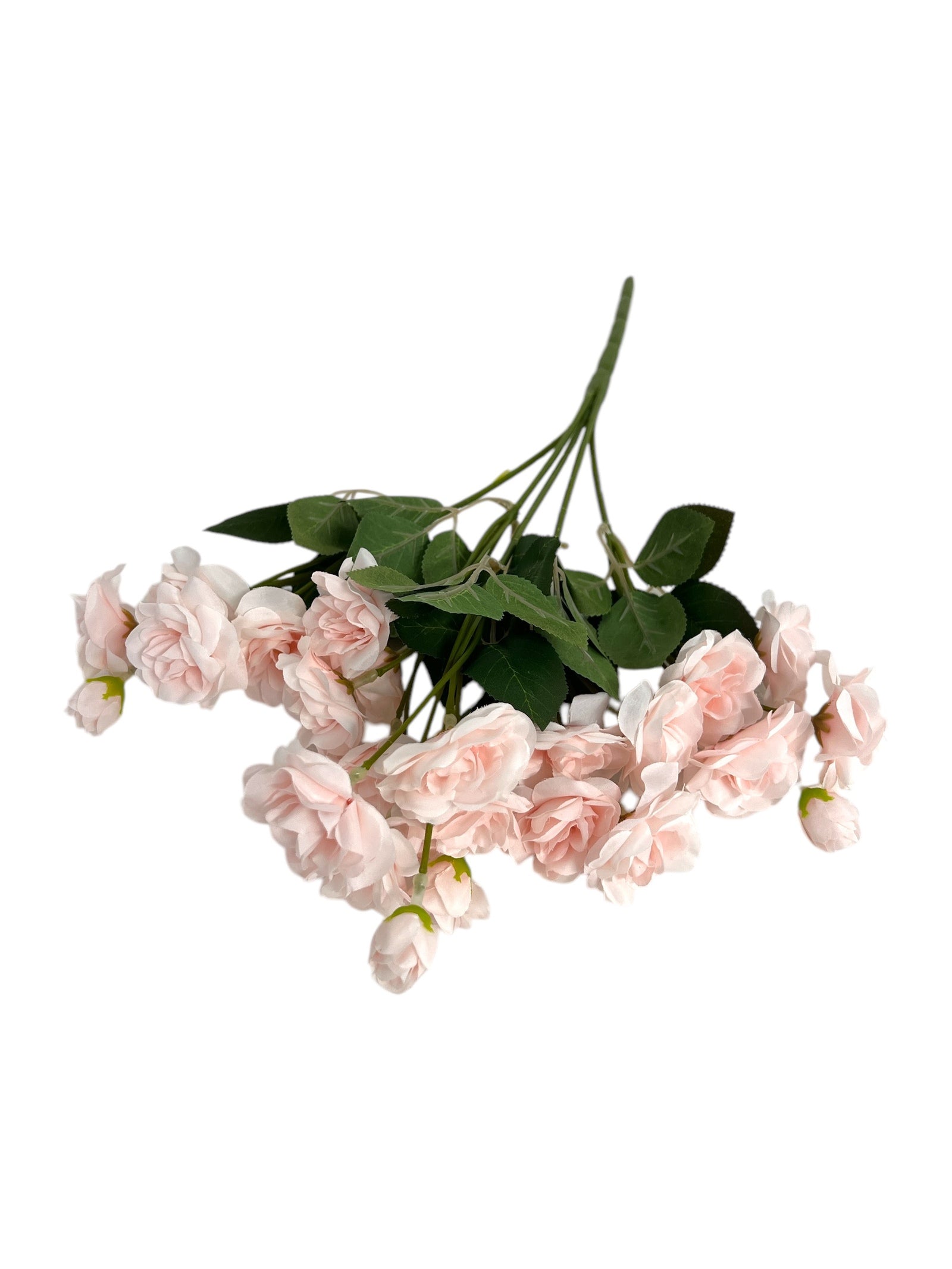 Photoroom_20250123_113717 4