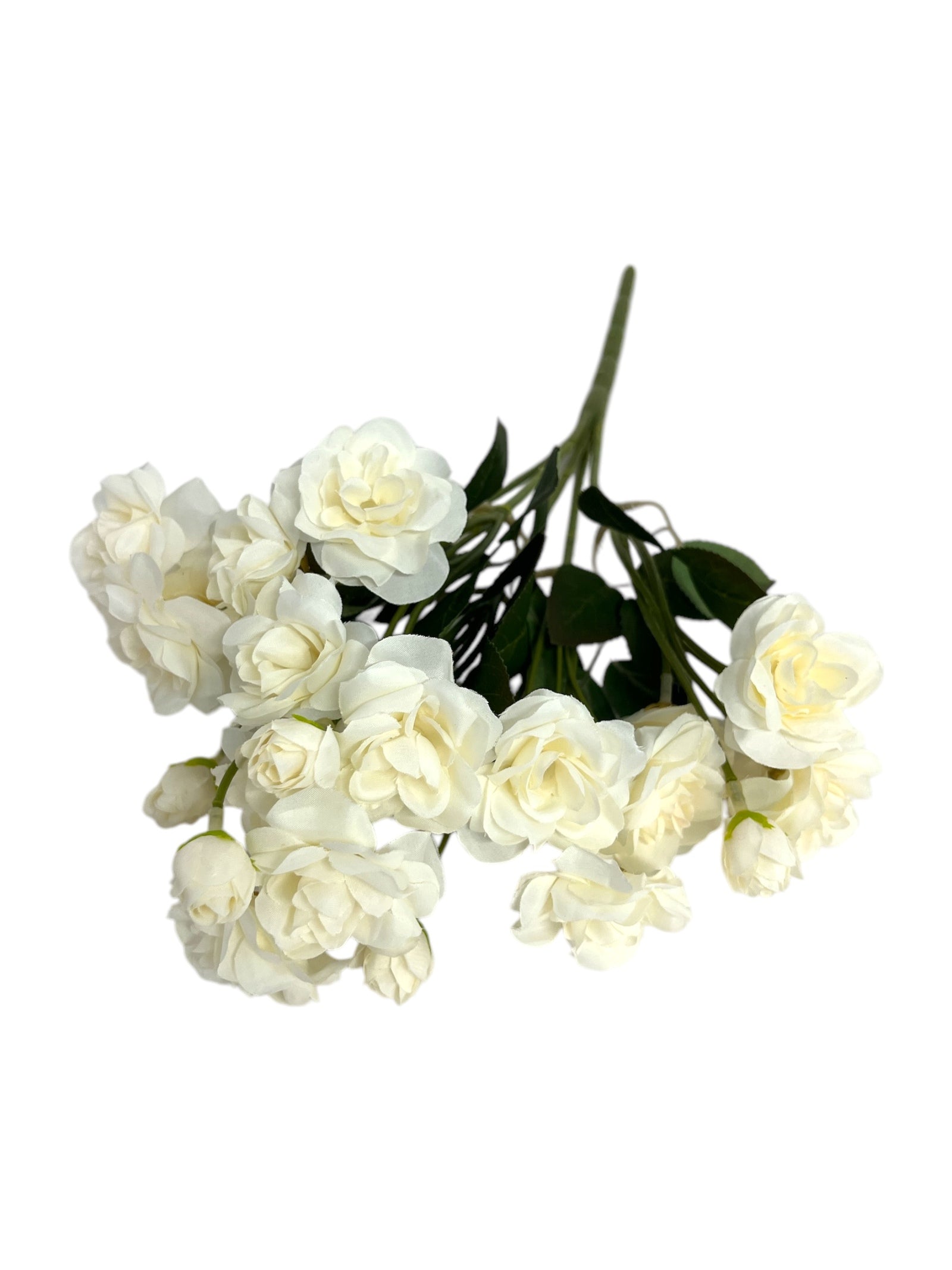 Photoroom_20250123_113814 4