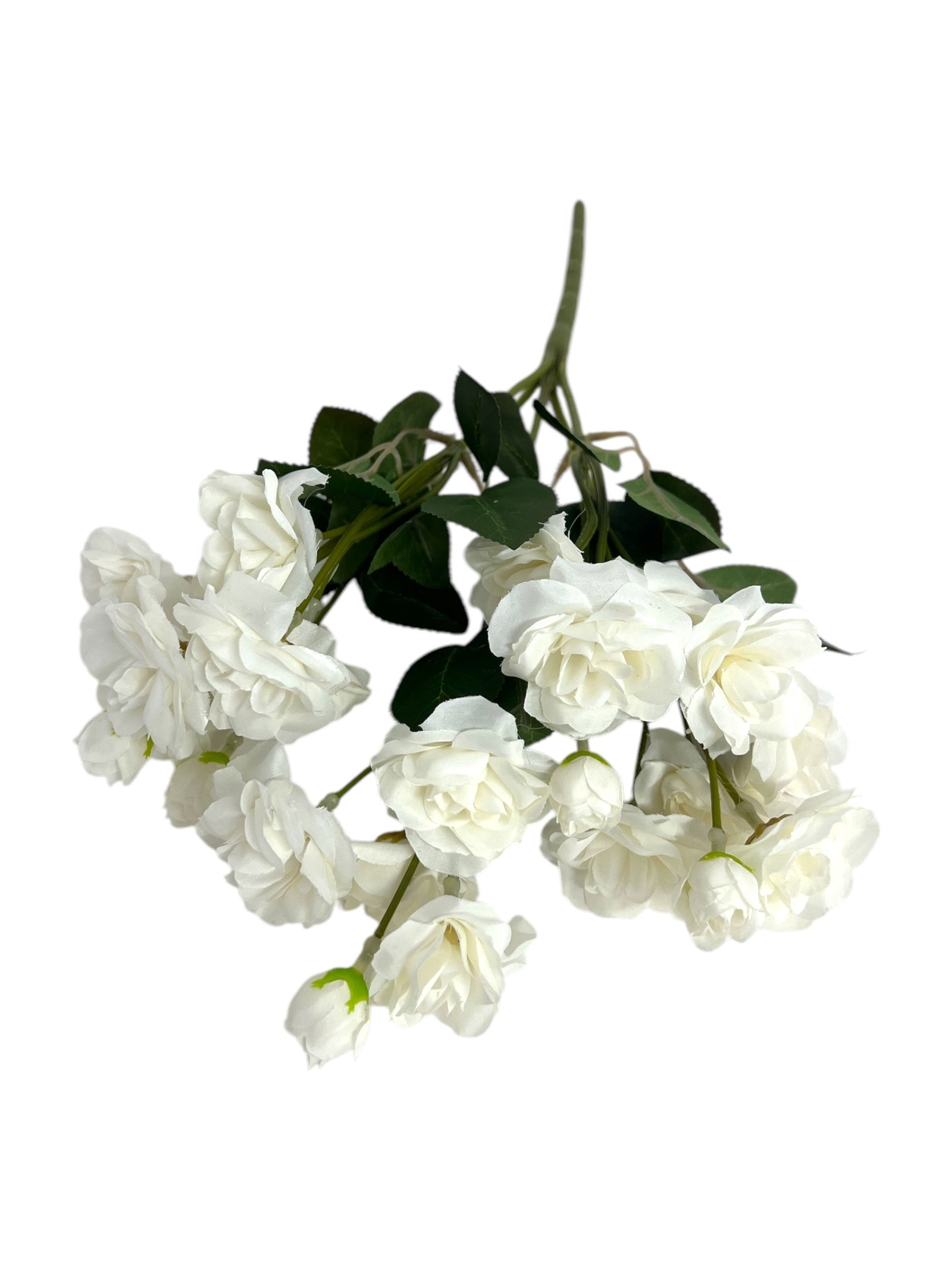 Photoroom_20250123_113906 4