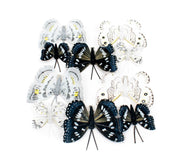 fluturi-decorativi-din-pene-colorate-albargintiunegru-10set