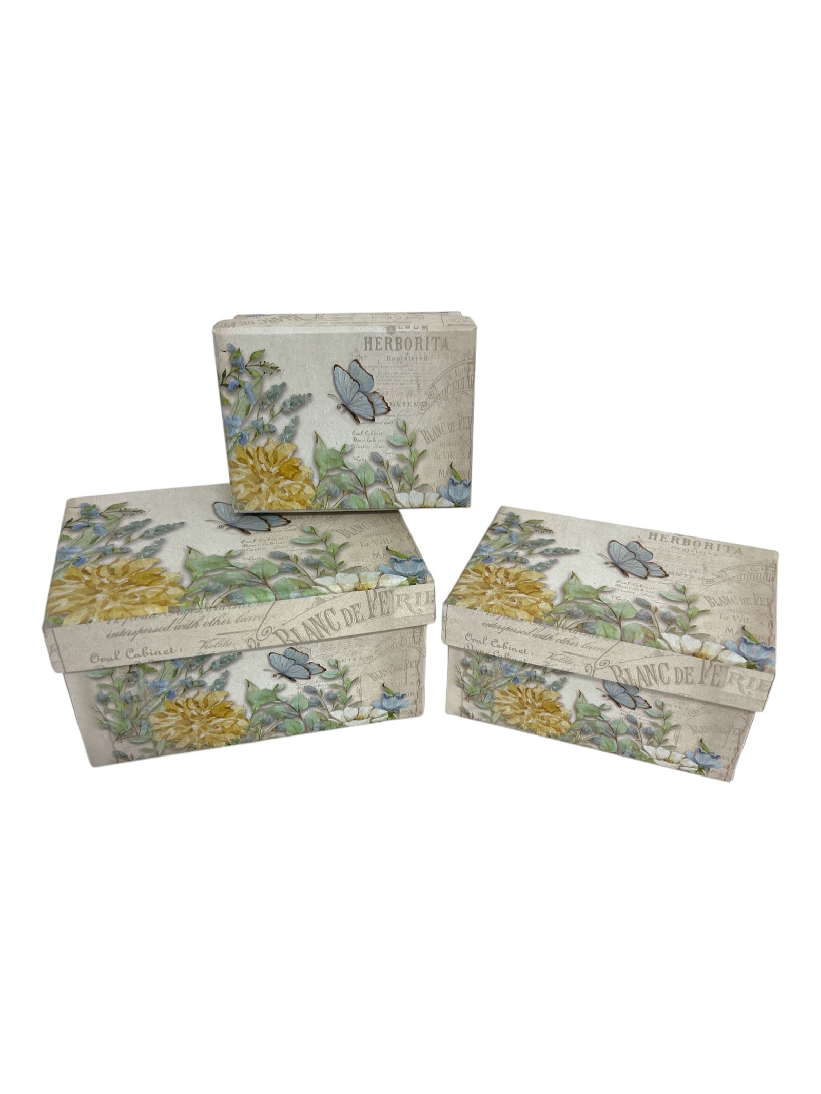 Photoroom_20250110_115200