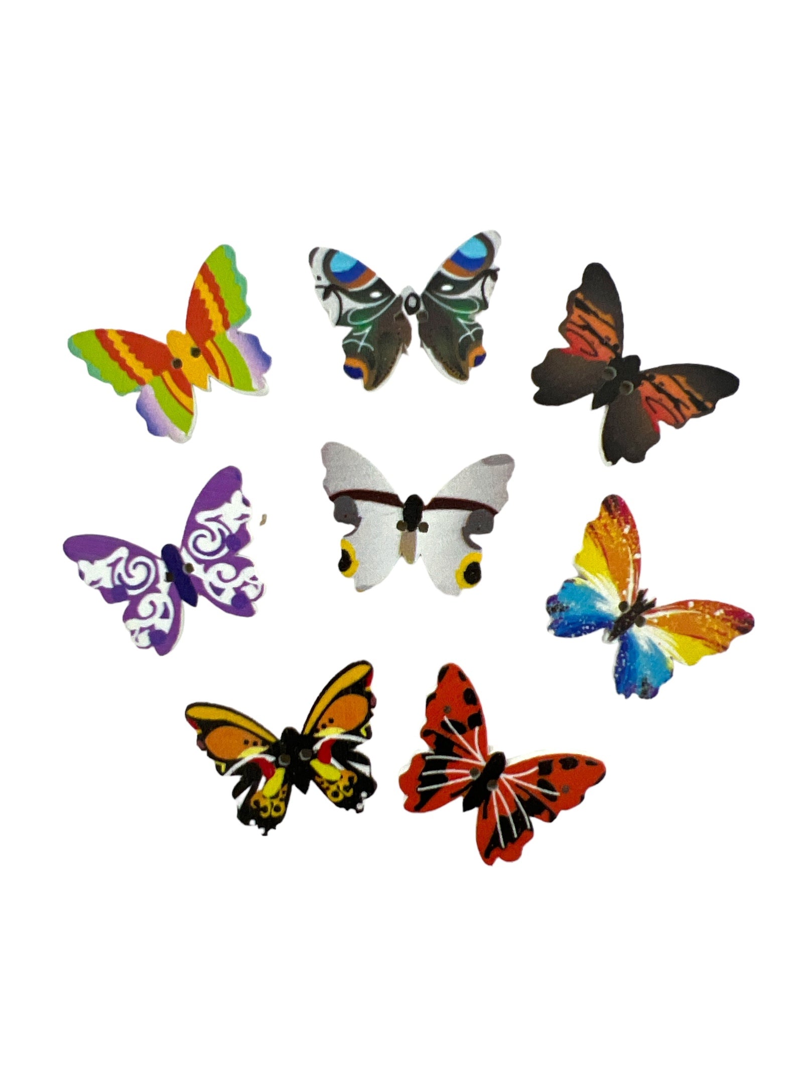 Photoroom_20240212_155126