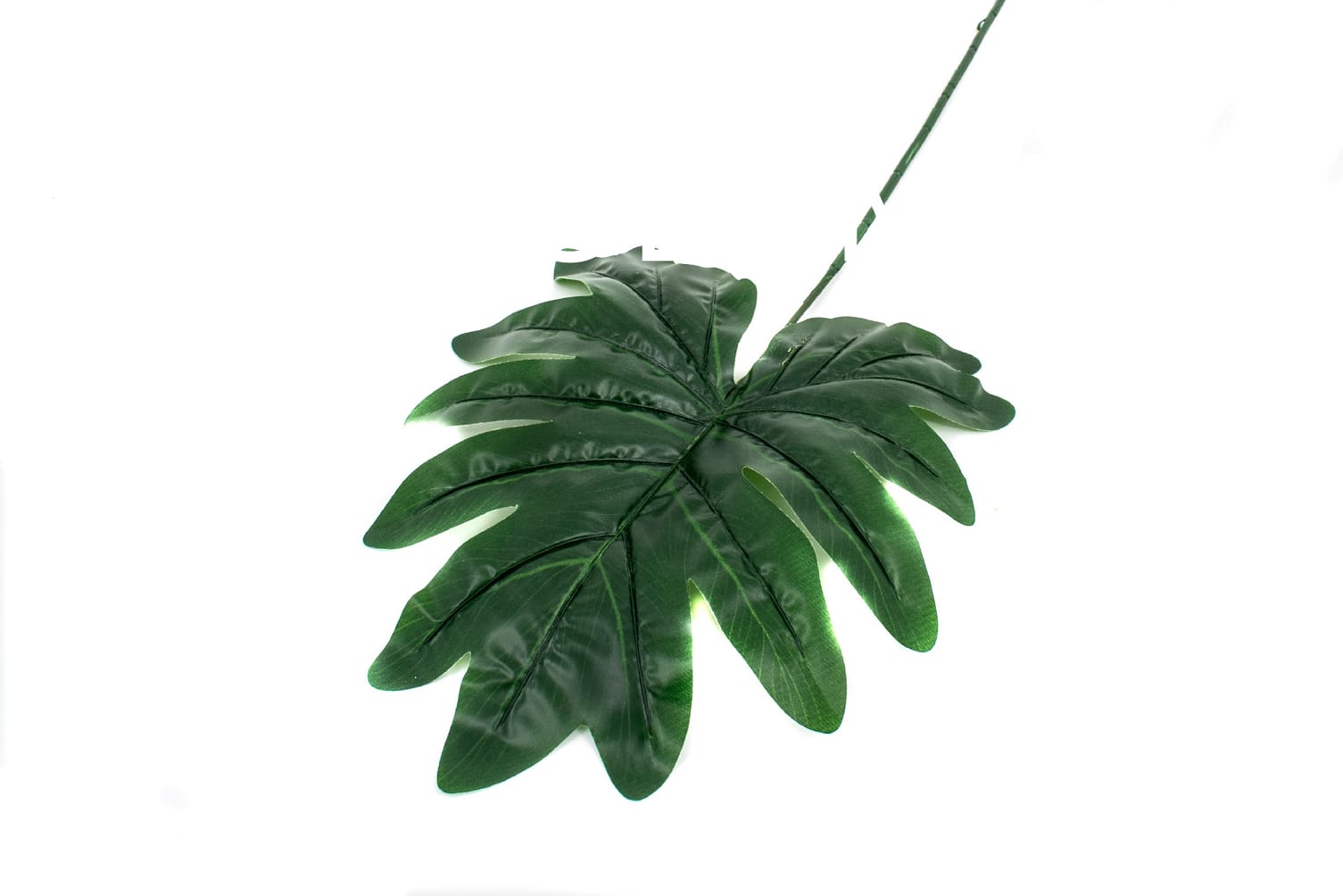 frunze-de-palmier-artificiale-palma-25set