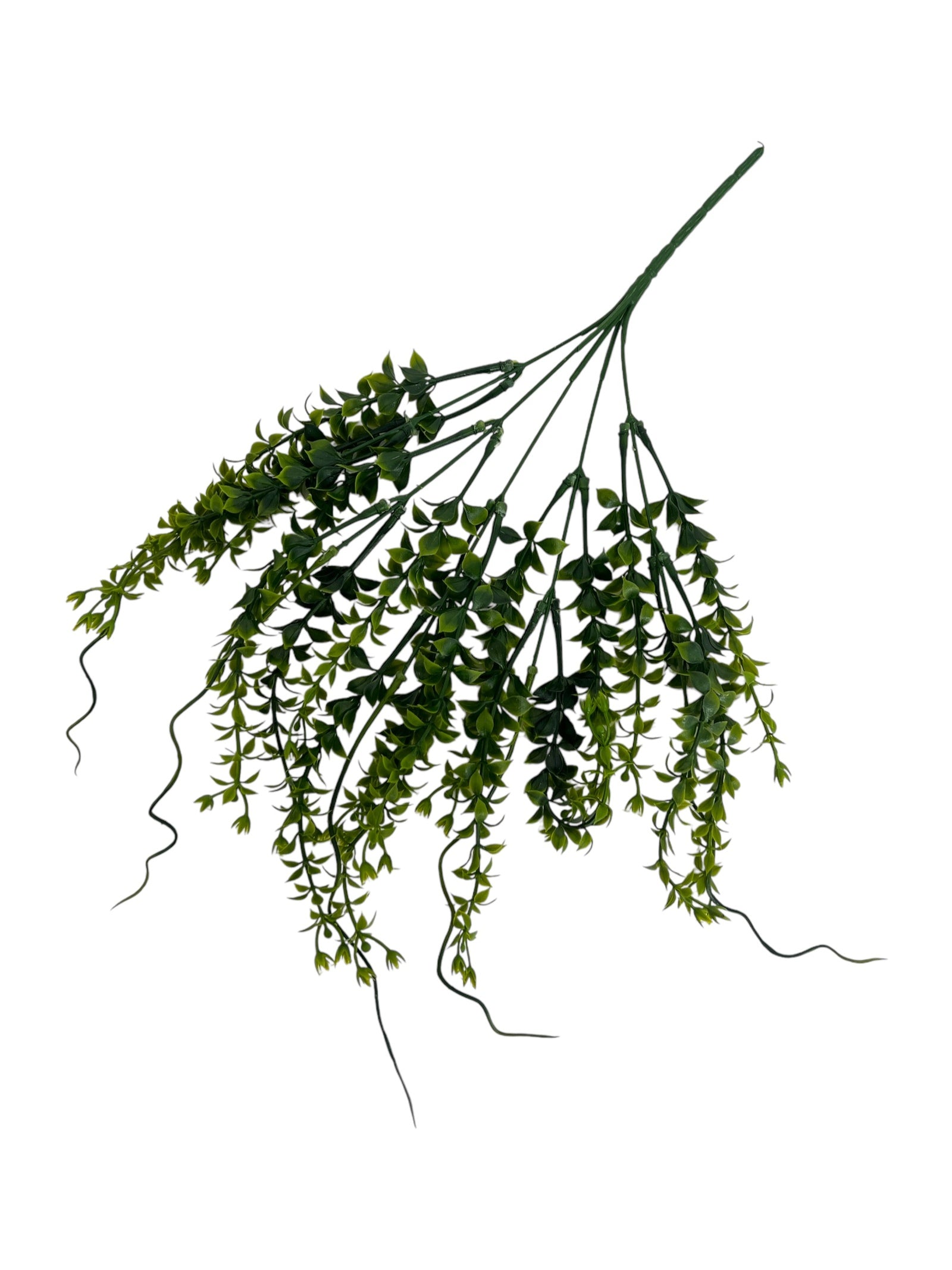 Photoroom_20250123_114302 4