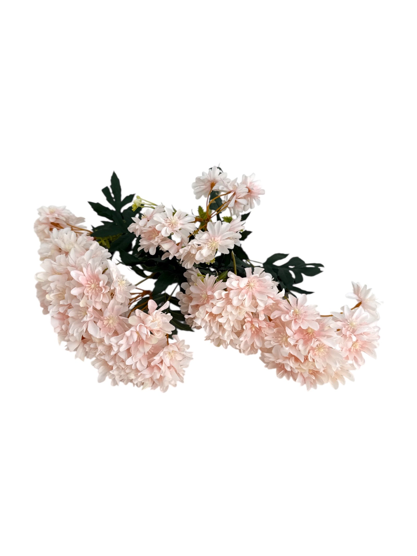 Photoroom_20250613_170534