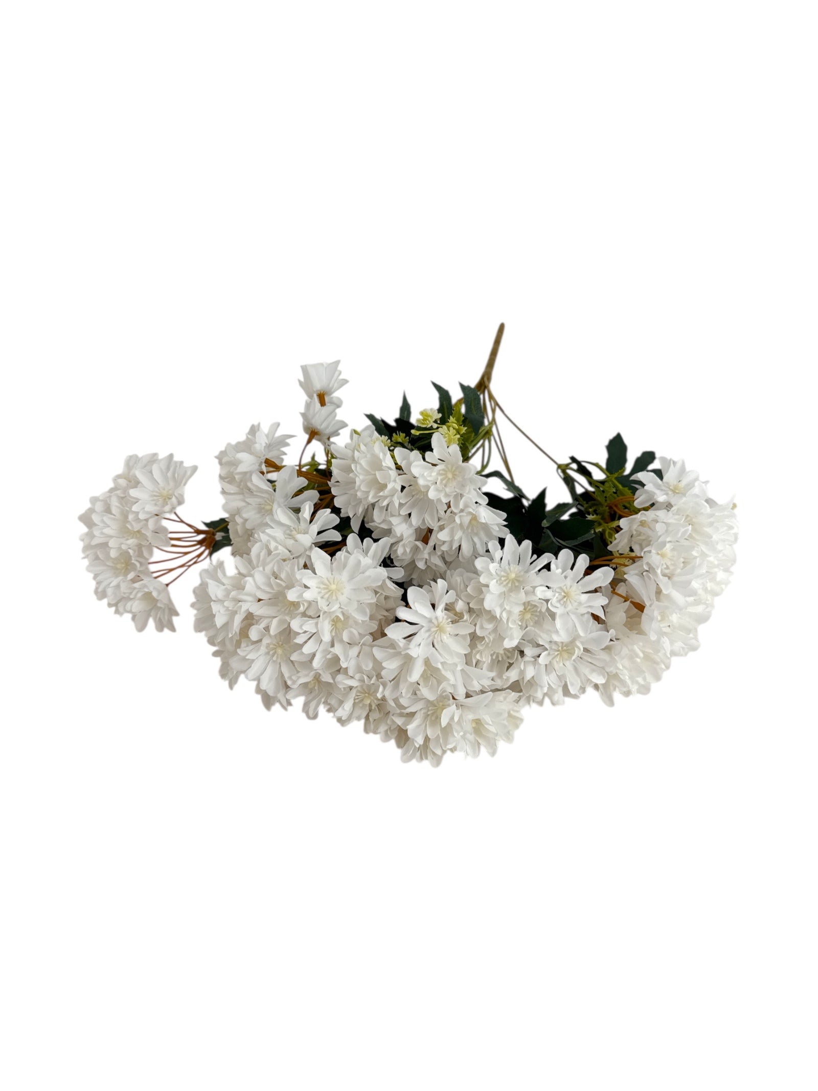 Photoroom_20250613_171007