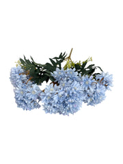 Photoroom_20250613_170747