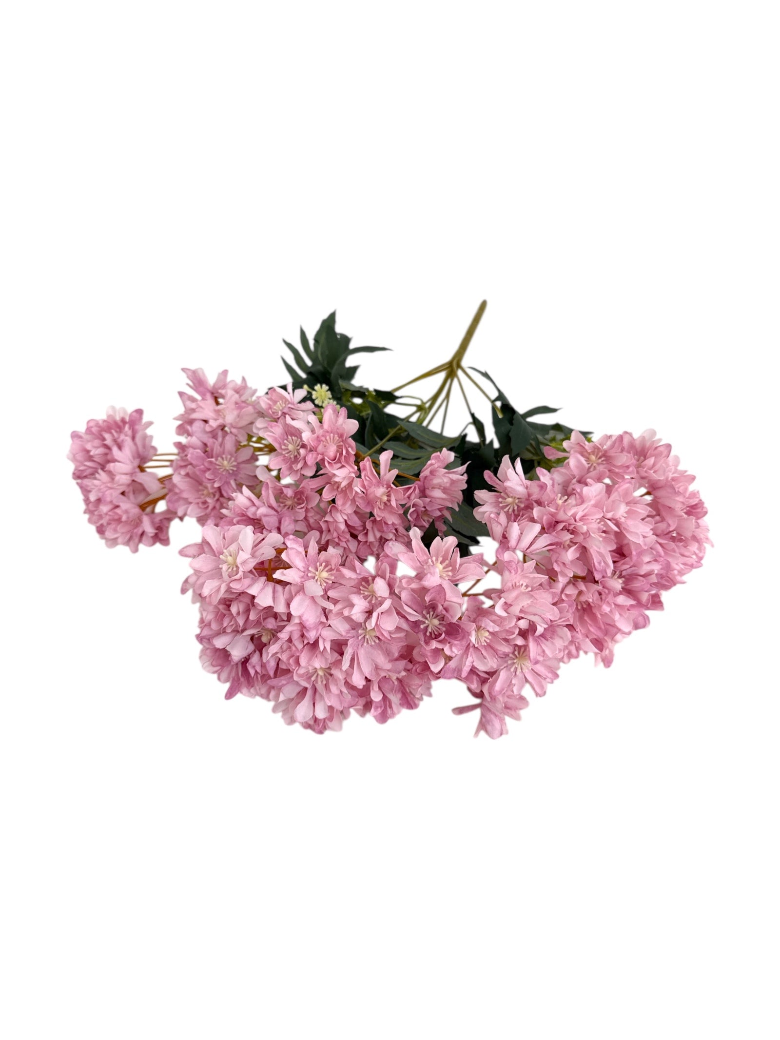 Photoroom_20250613_170853