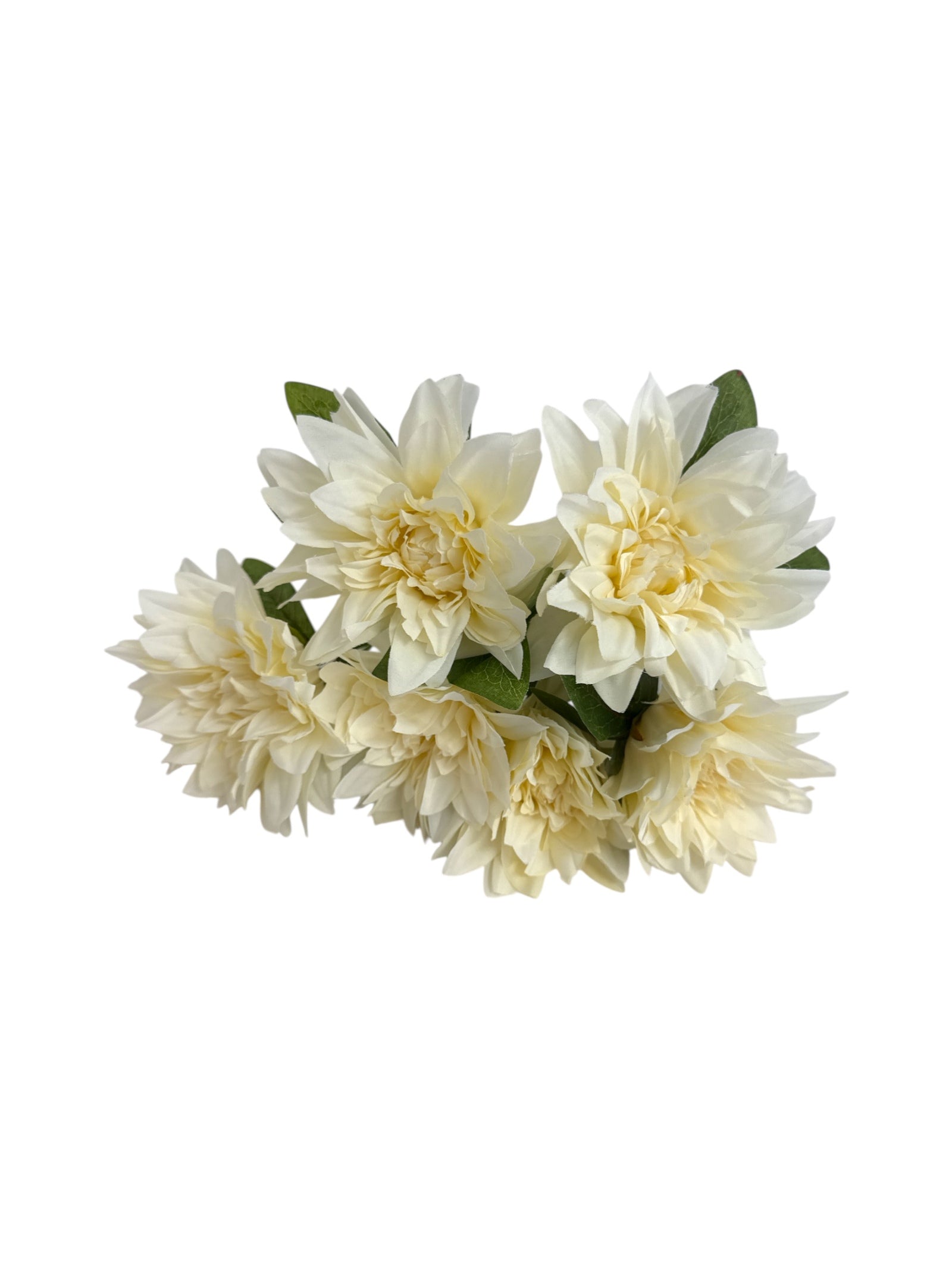 Photoroom_20250621_102413