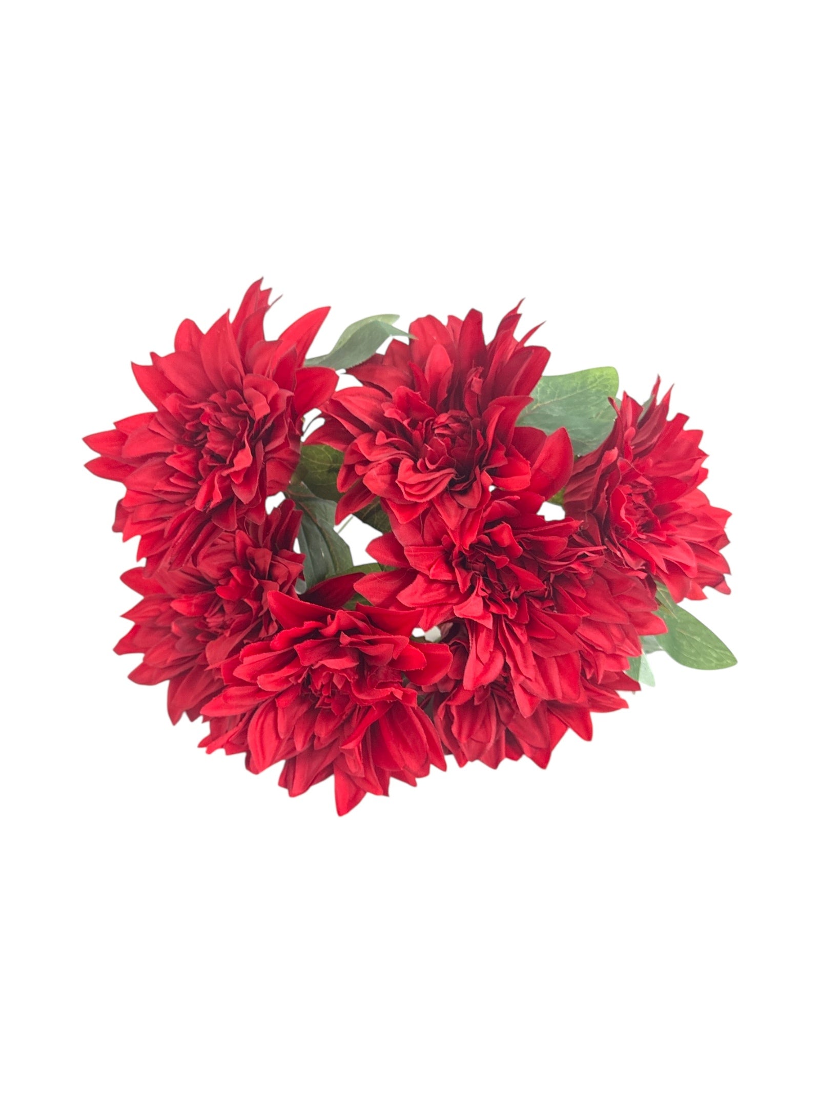 Photoroom_20250621_102529