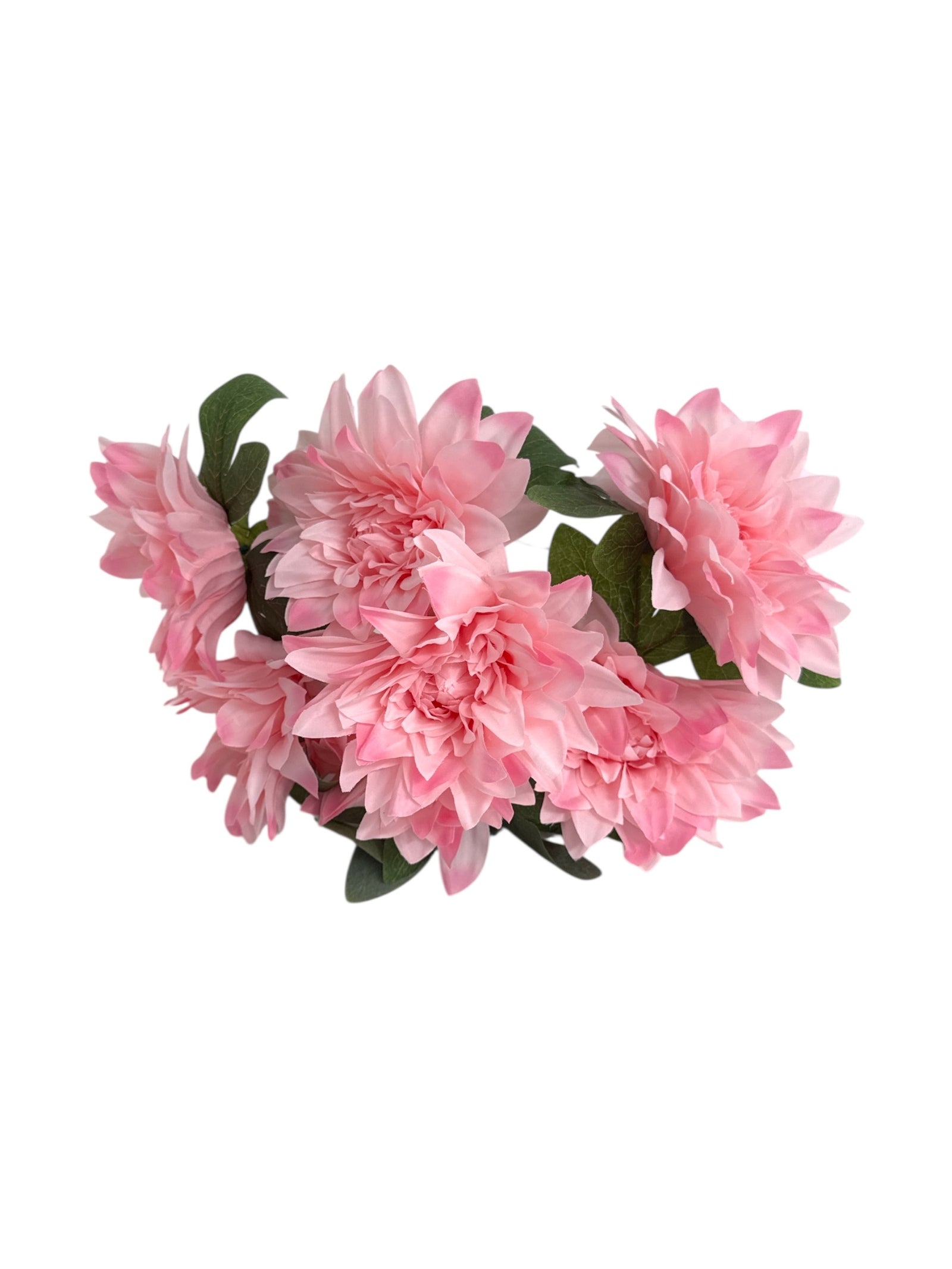 Photoroom_20250621_102653