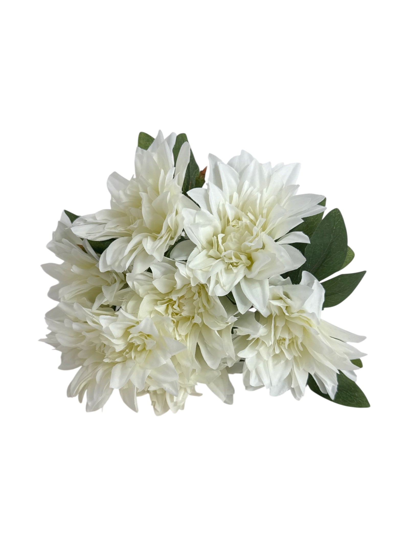 Photoroom_20250621_102821