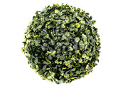 Bile Verdeata buxus 20 cm