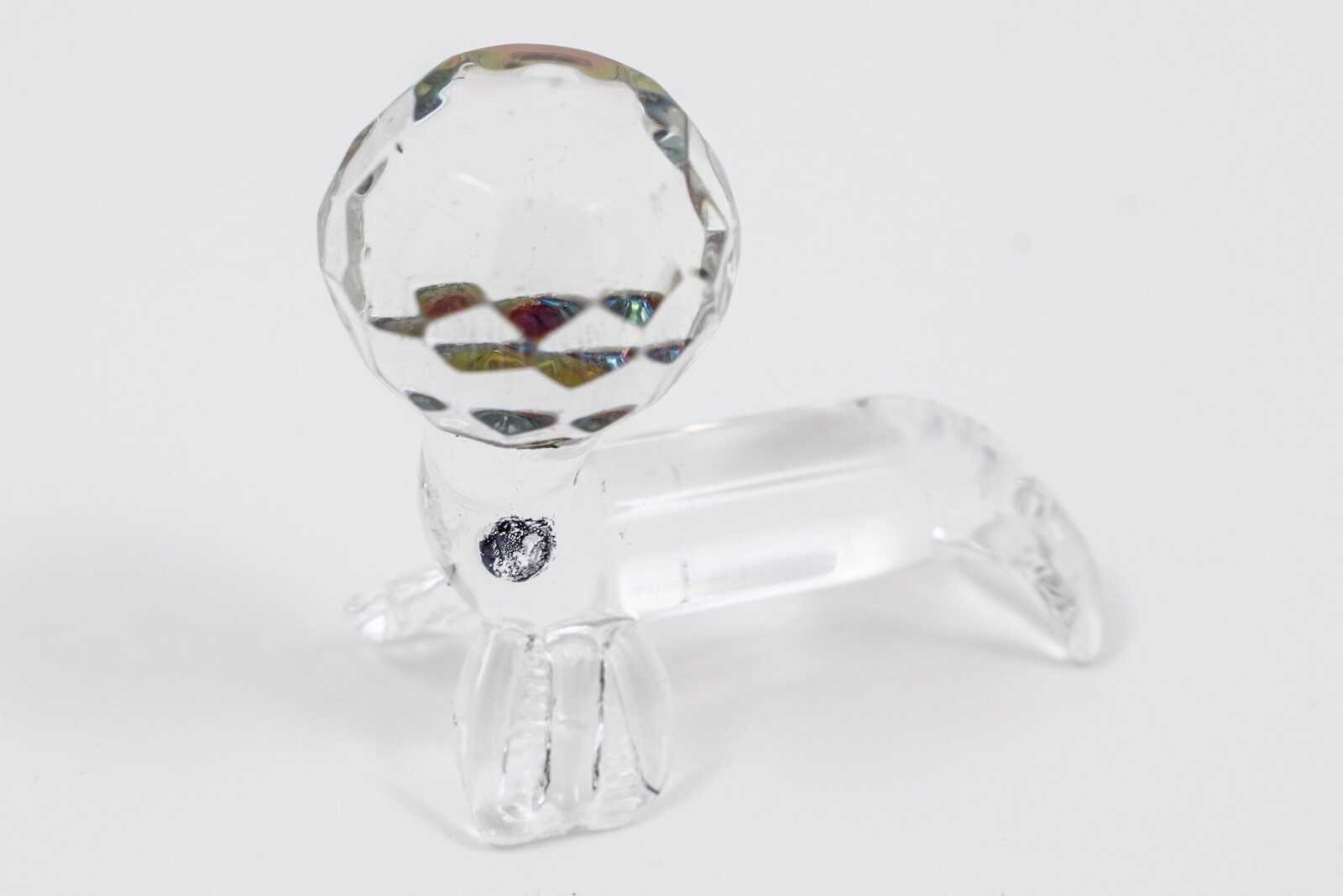 marturie-botez-foca-sticla