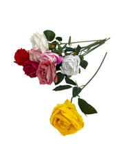 Photoroom_20250711_141058