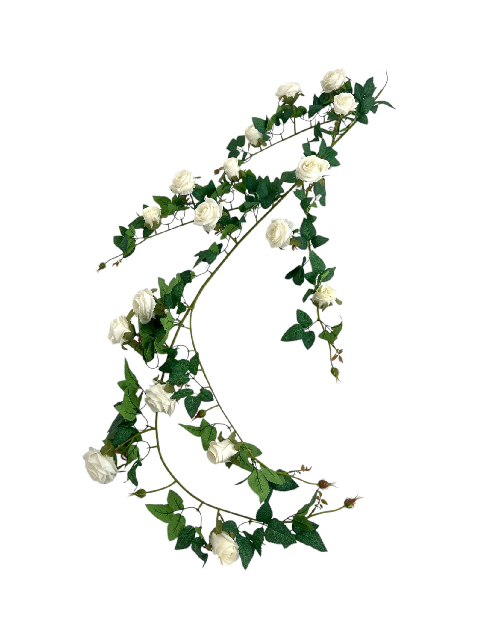 Photoroom_20250312_164816