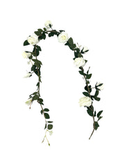 Photoroom_20250312_164626