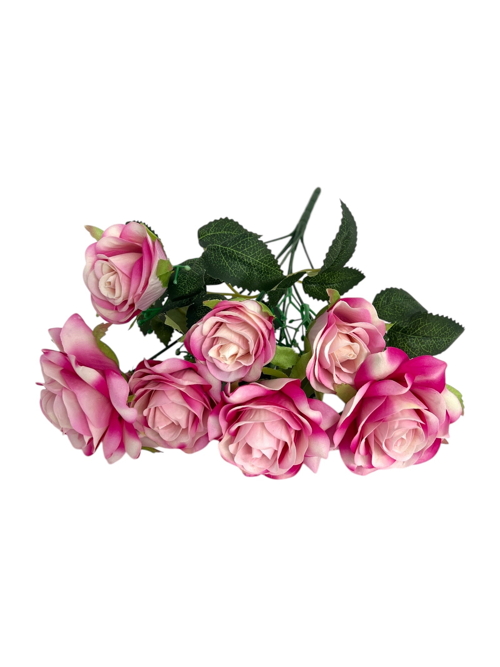 Photoroom_20250123_115954 4