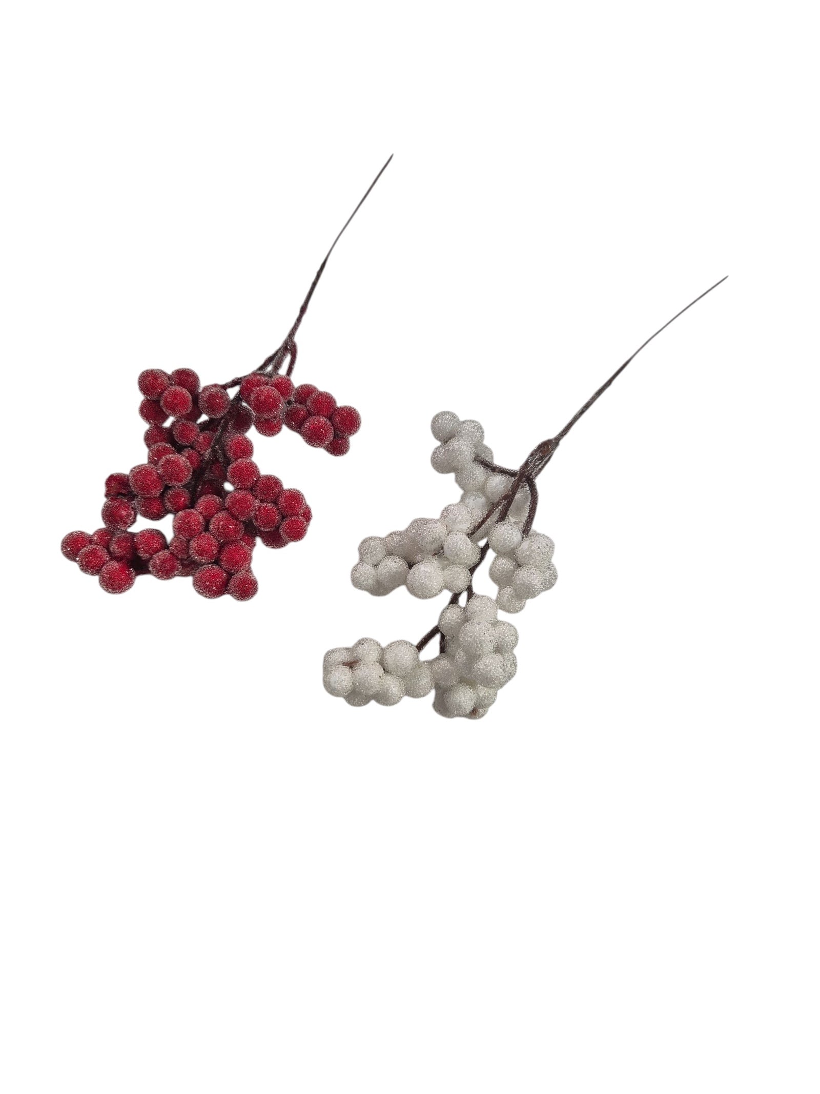 Photoroom_20251002_175640