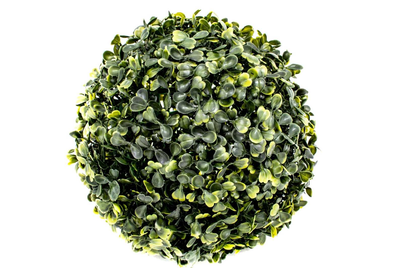 Bile Verdeata Buxus 38 Cm