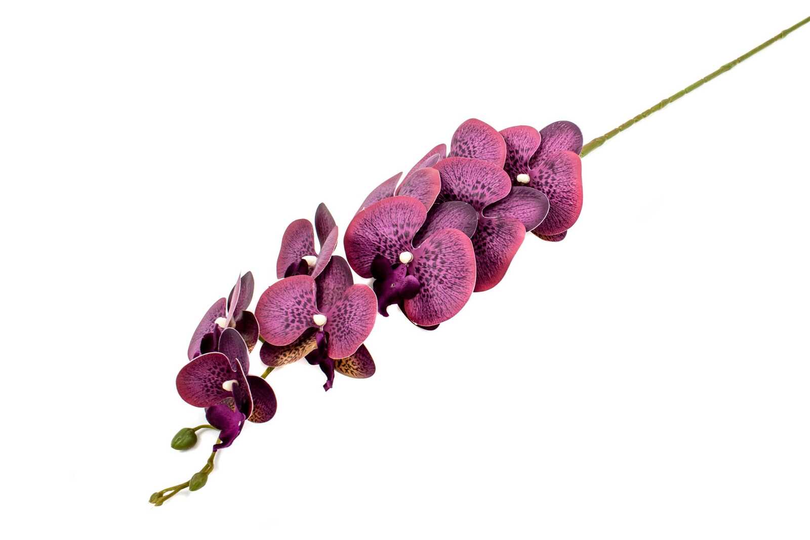 flori-artificiale-orhidee-mov