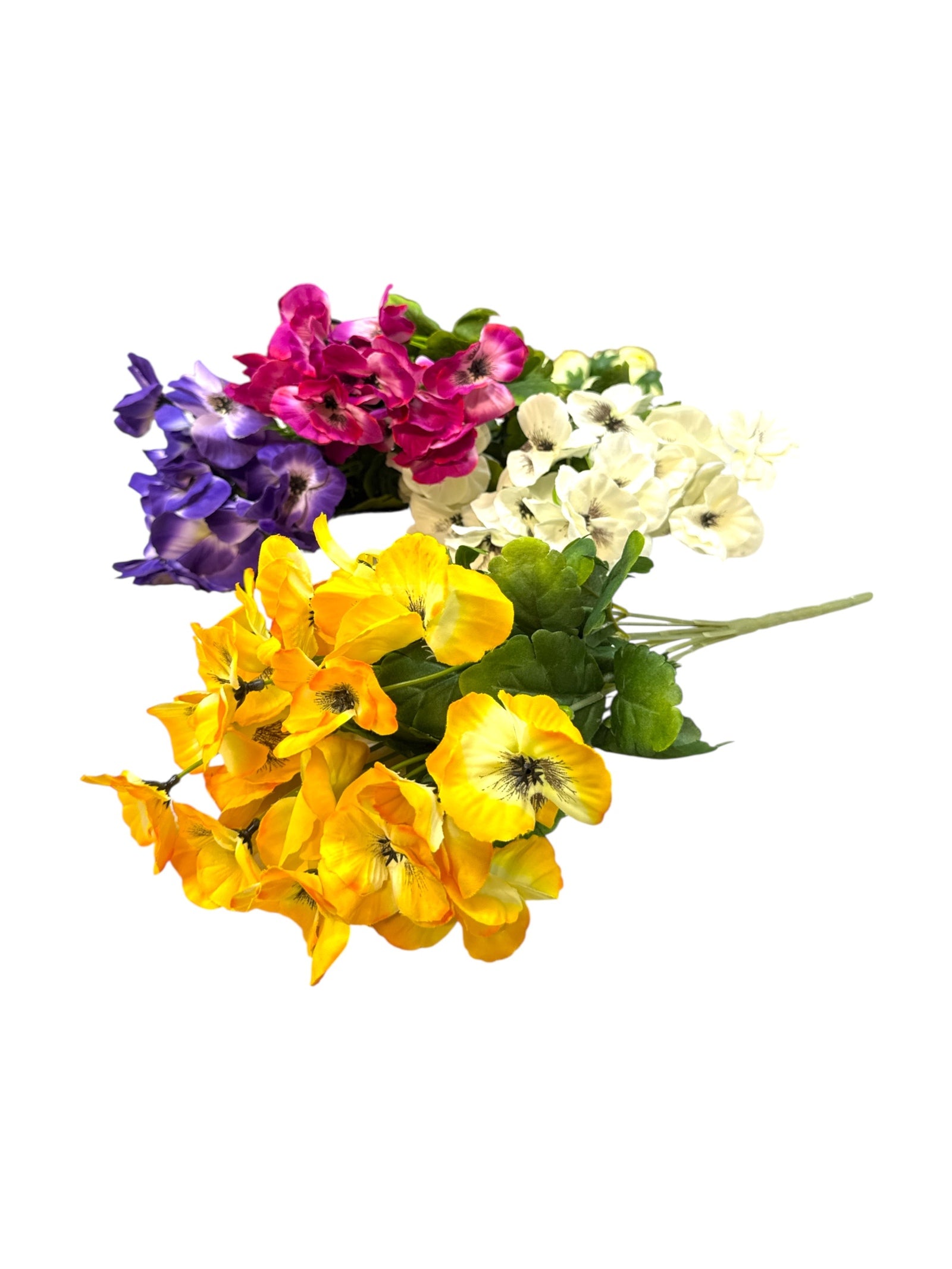 Photoroom_20250618_154749