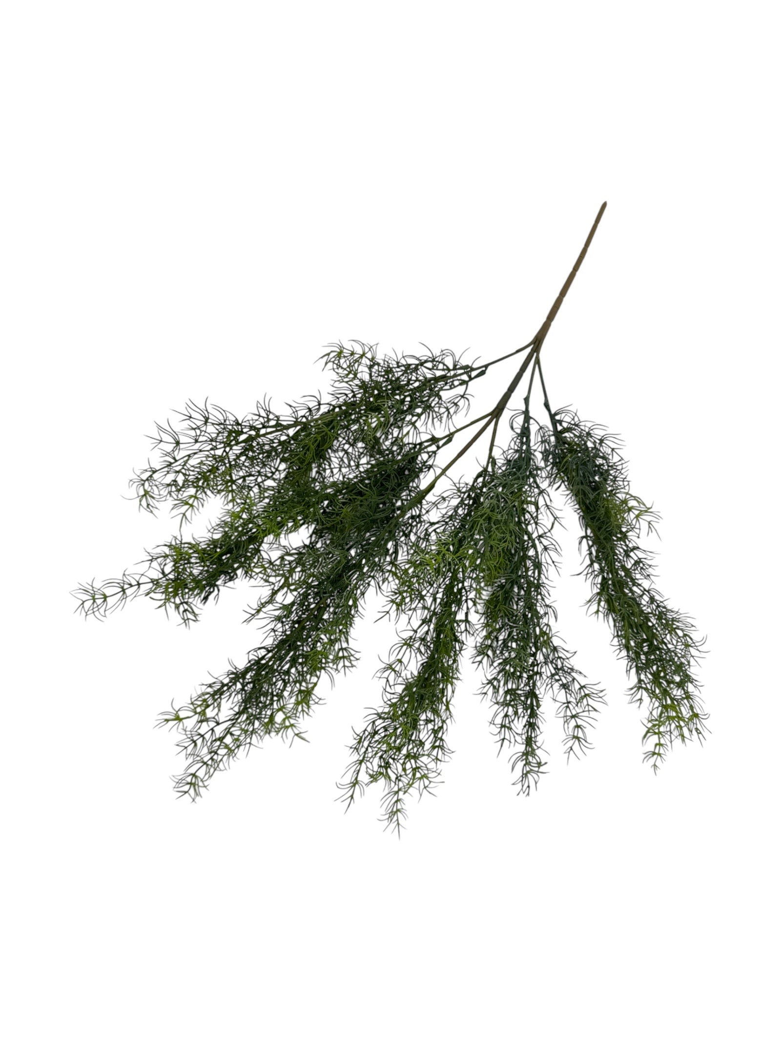 Photoroom_20250613_163956