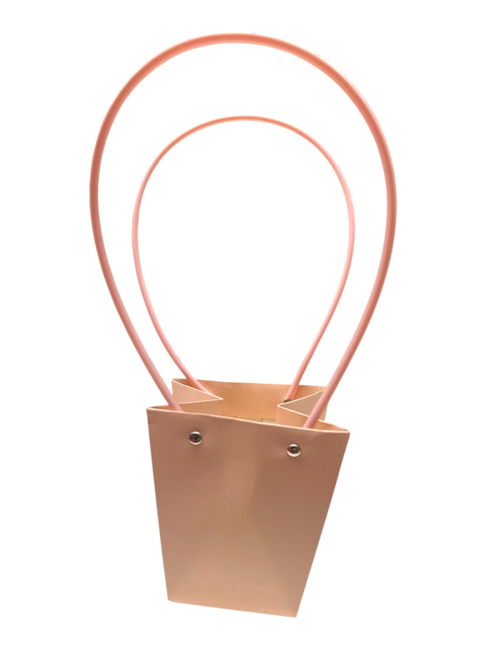 Photoroom_20250113_153005