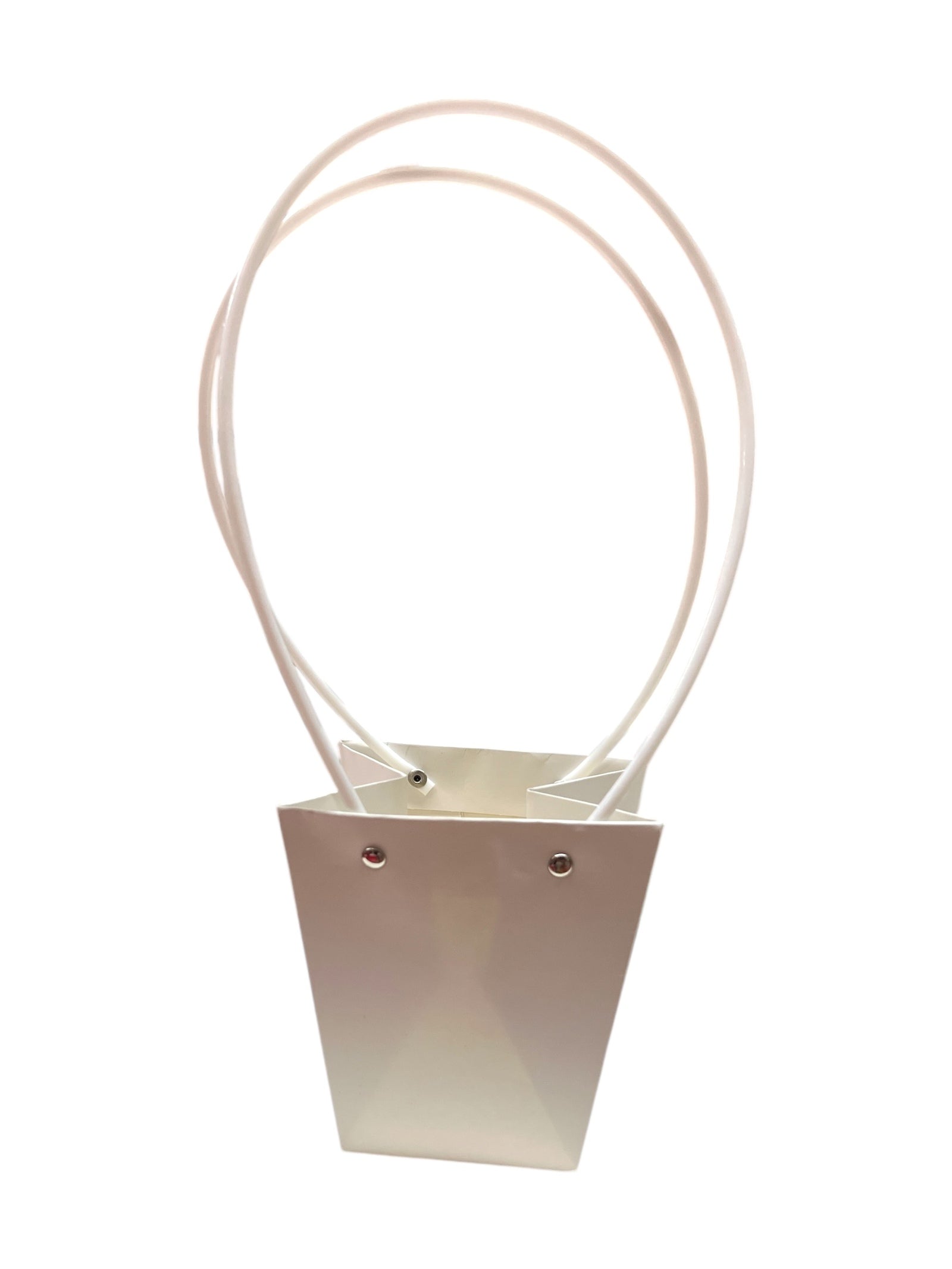 Photoroom_20250113_153123 2