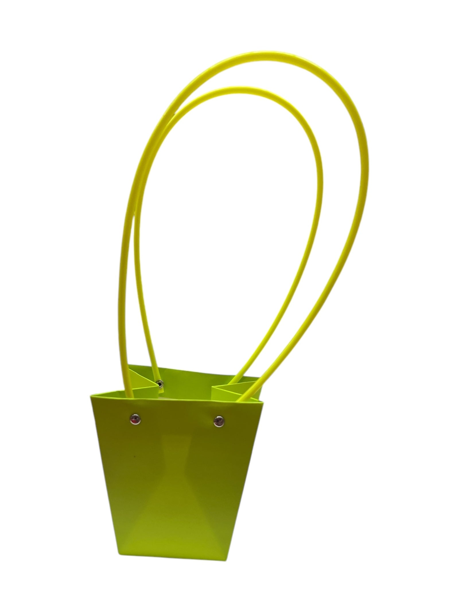 Photoroom_20250113_153205