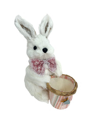 Photoroom_20250312_143203